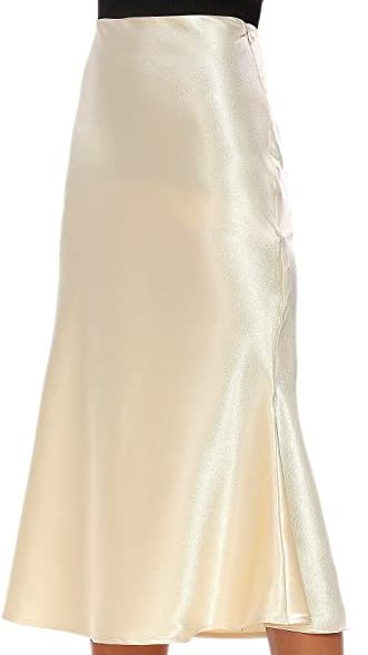 champagne skirt for christmas card