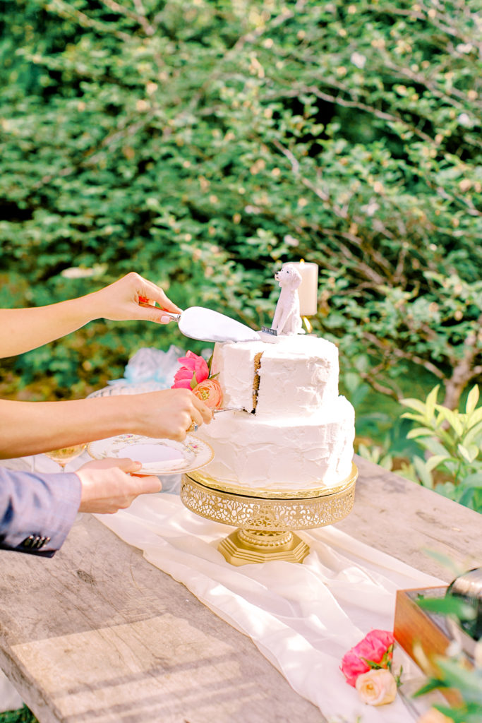 close up shot of bride and groom cutting cake at wavering place | photo by mary catherine echols
