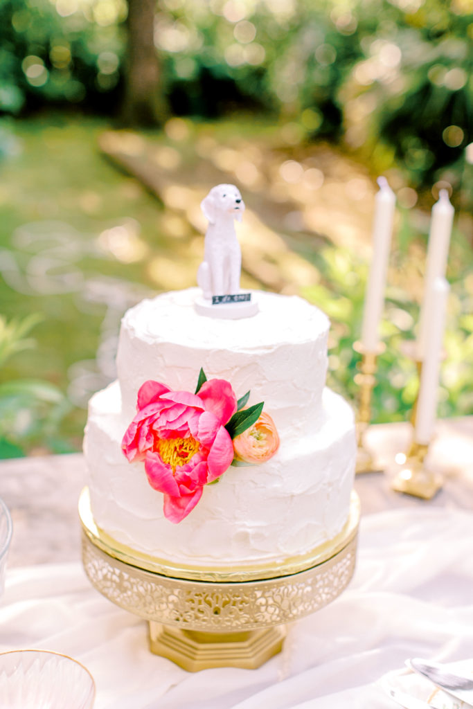 white wedding cake with dog topper | photo by mary catherine echols