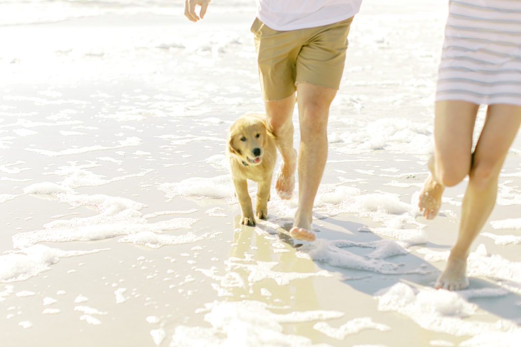 shot of couple's legs running with their puppy on the beach in florida